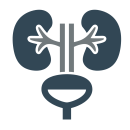 urologia.png